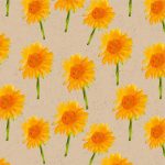 Salvete ukrasne Artebene Organics neveni art.132586