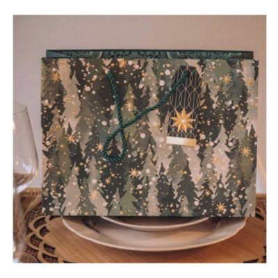 Vrecica darovna Artebene NG zelena velika art.204951 (204948)