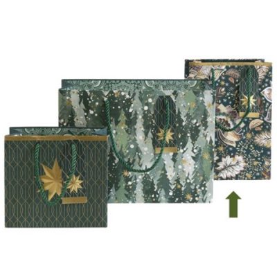 Vrecica darovna Artebene NG zelena srednja art.204950 (204948)