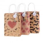 Vrecica darovna Artebene Hello Nature Organics cuke 18x25x8cm art.205169