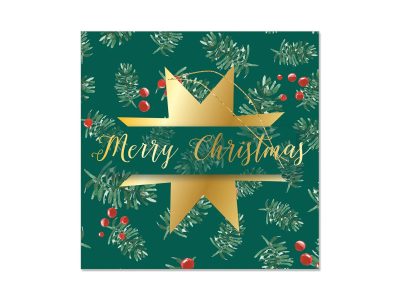 Cestitka mini Artebene NG Xmas zvijezda art.124586