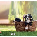 Teka A4 MP D Target Animal Baby 52l art.26416 (10/60)