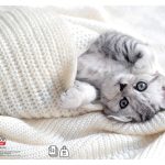 Teka A5 MP D Target Animal Baby 52l art.26058 (10/120)