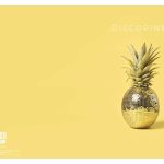 Teka A4 MP Spiral D W.L. Disco art.28928 (96)