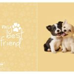 Teka A4 MP D Target My Best Friends art.28880 (80)