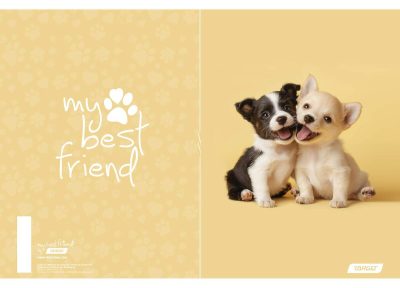 Teka A4 MP D Target My Best Friends art.28880 (80)